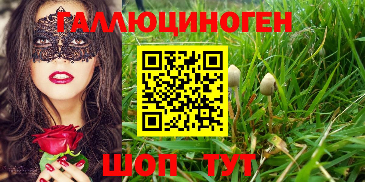 Галлюциногенные грибы Psilocybe  Вход с VPN  Псилоцибиновые грибы MAGIC MUSHROOMS  Наро-Фоминск 